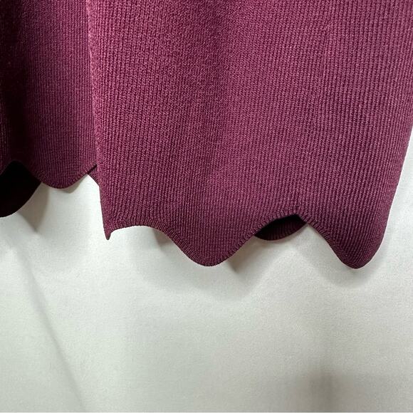 TED BAKER Rickrack Scalloped Rianori Shift Dress NWT in Size 5 (12) - Picture 9 of 11